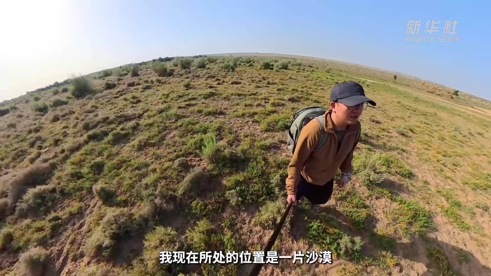 沙海变绿洲 荒漠绽新颜