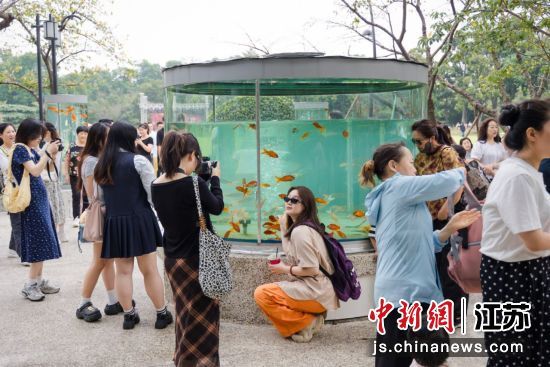 “我们的节日——天宁胜境自在漫步生活季”吸引众多游客打卡。 许倩 摄