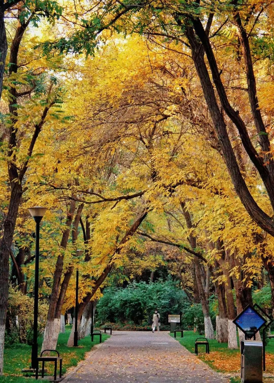 △网友　焕若随珠　摄