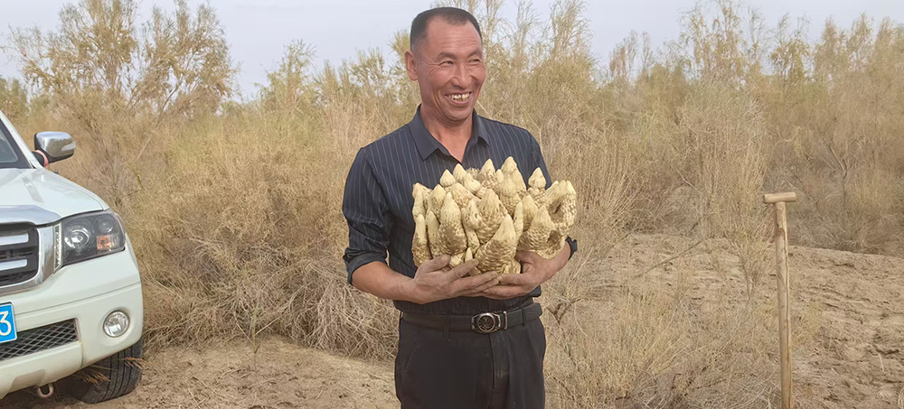 抱着肉苁蓉的曾叔