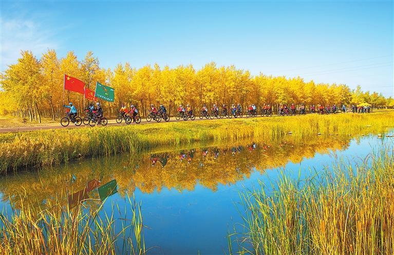 国庆中秋假期，甘州区黑河林场胡杨林迎来众多骑行爱好者。新甘肃&middot;甘肃日报通讯员　杨永伟