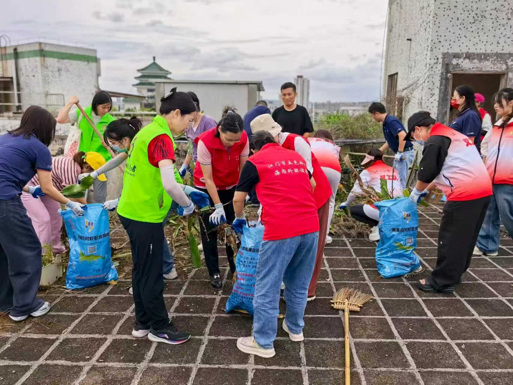 江门市妇联发动社会力量 全力以赴做好基孔肯雅热疫情防控攻坚工作