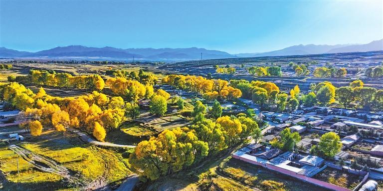 民乐县永固镇姚寨村秋意盎然　新甘肃&middot;甘肃日报通讯员　王晓泾