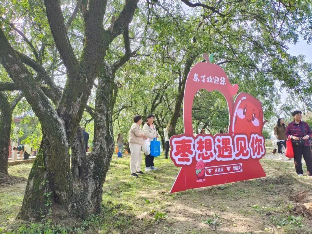 千年相枣林观赏采摘区