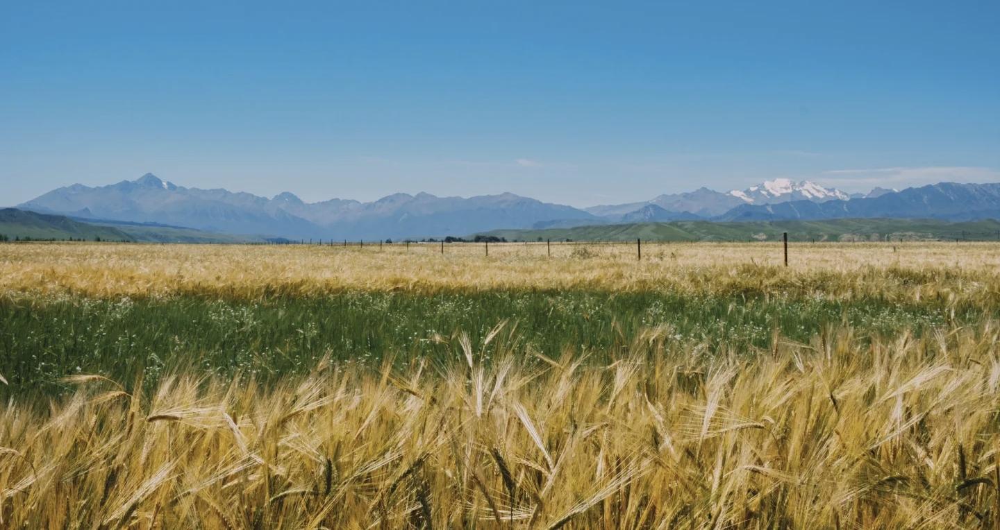 △网友　北陆雪间　摄