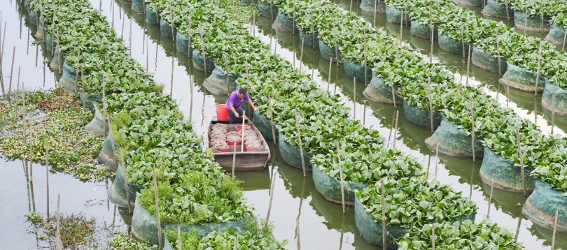 九江银行“贷”来及时雨，赋能黄鳝产业好“丰”景