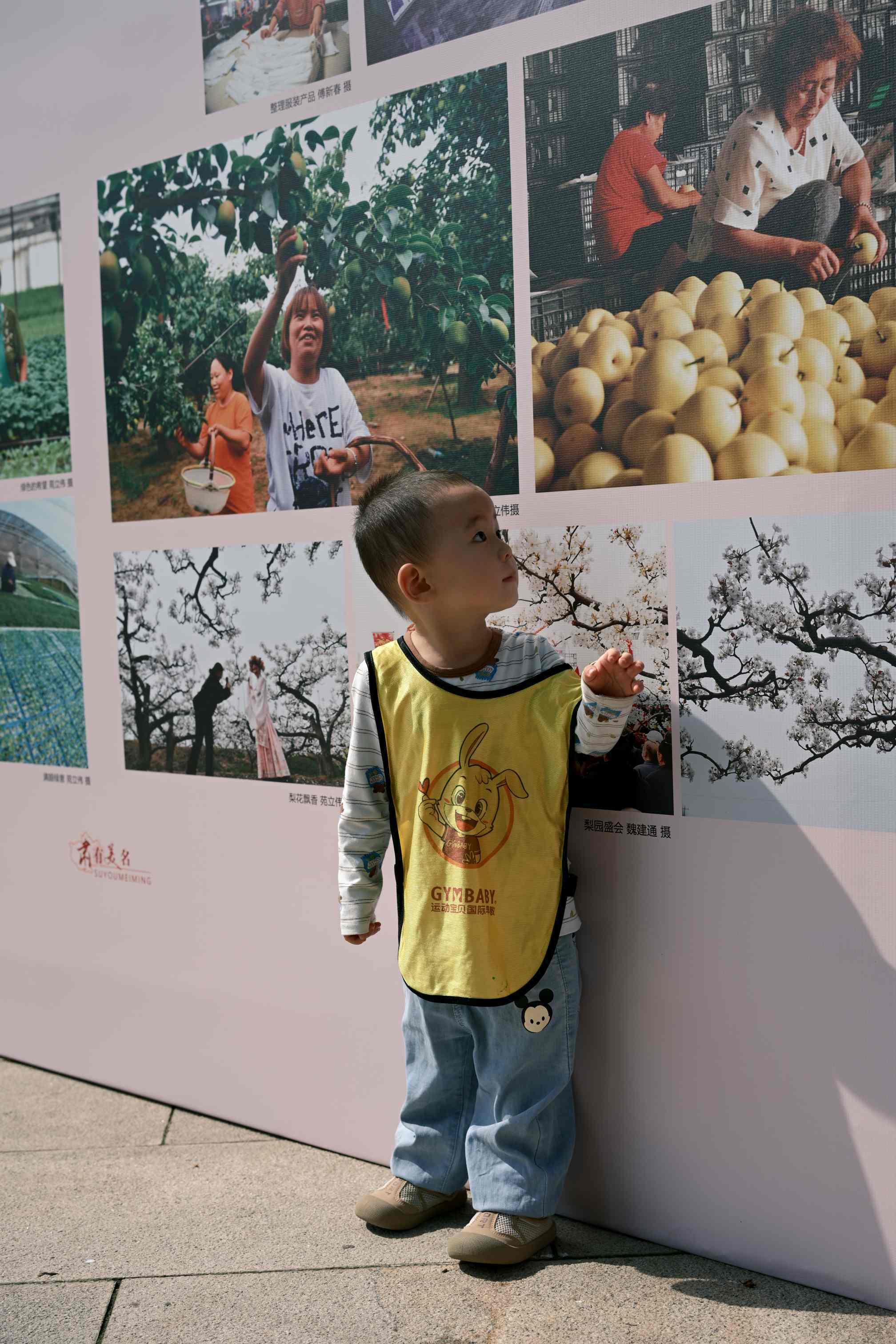 “肯定很甜。”张煊赫 摄