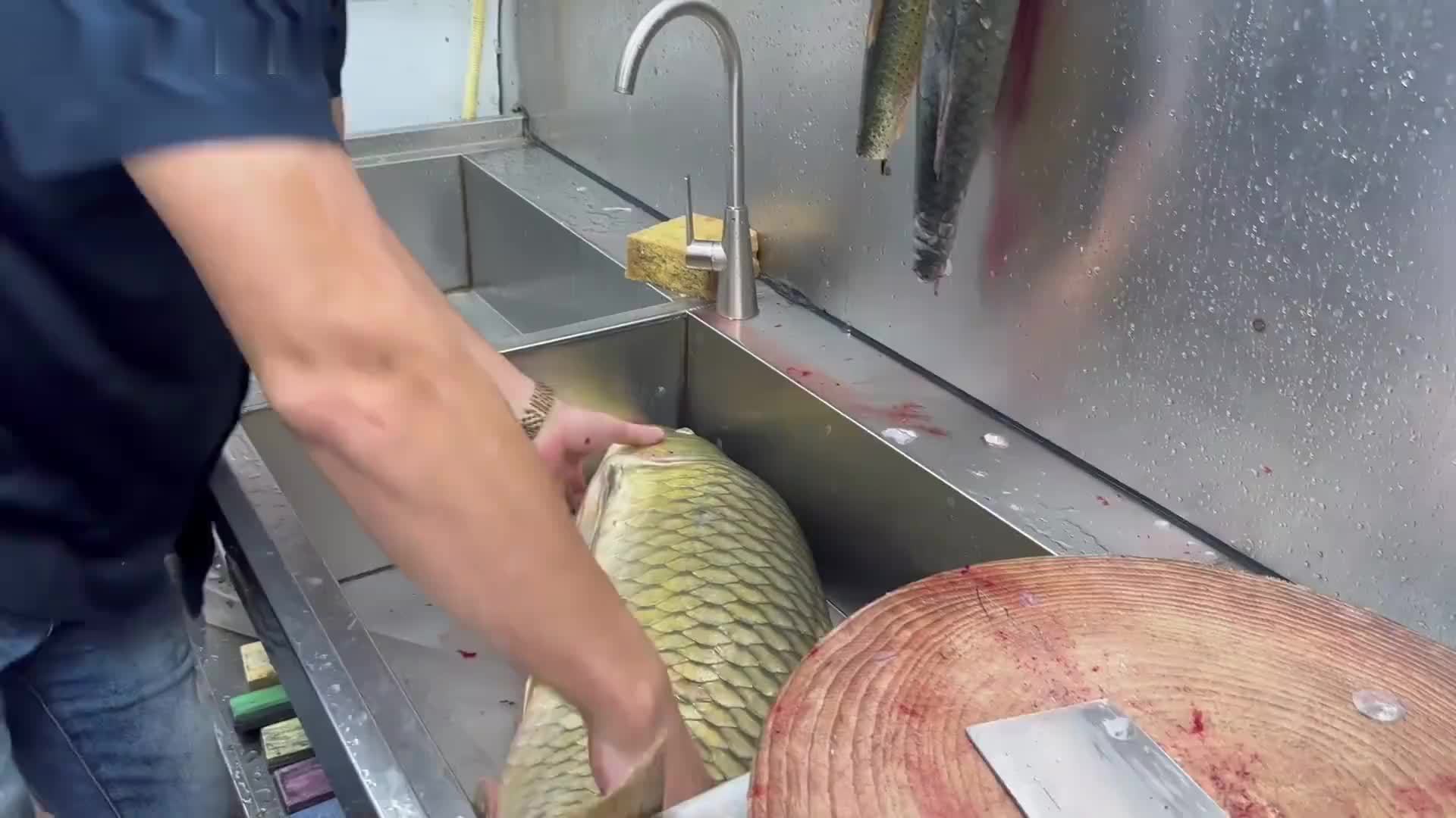 23斤巨鲤现杀鱼生！横县非遗吃法震撼全场