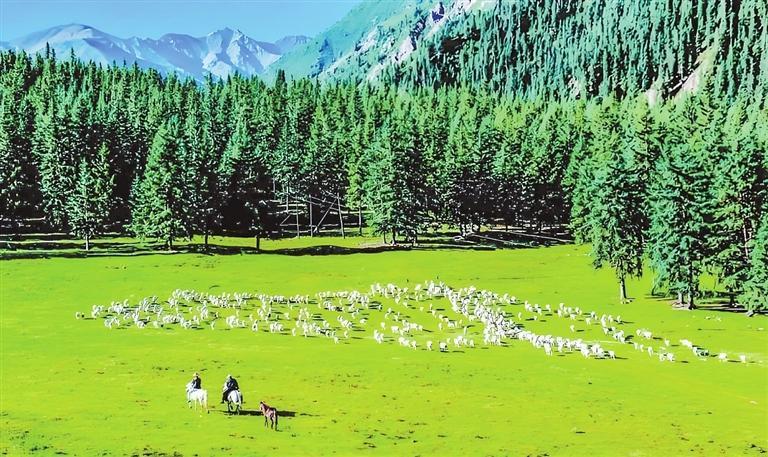 《祁连山——我们的国家公园》剧照