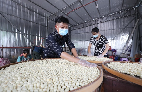 江西东乡：返乡创业助增收