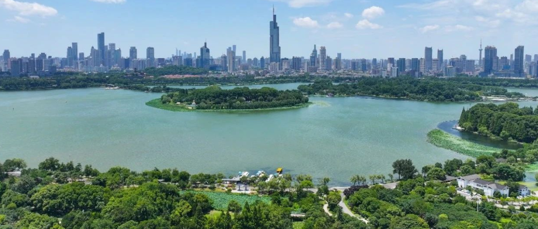 （南京日报/紫金山新闻记者 徐琦摄）