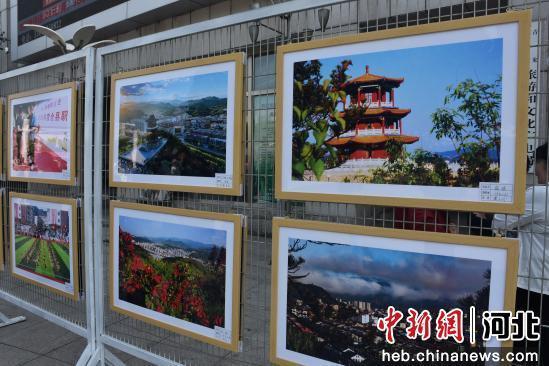 图为参展作品。 陈晓蕾 摄