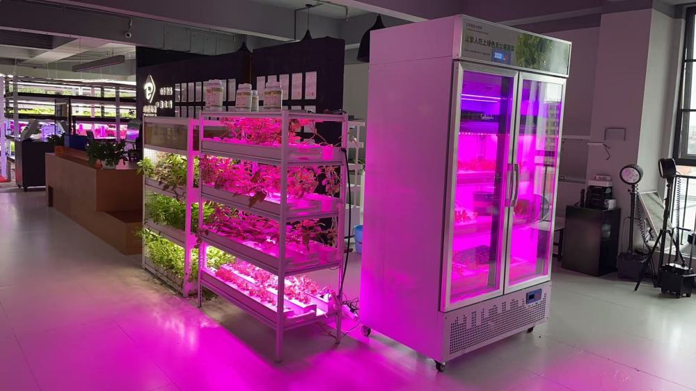 江西某光电科技有限公司智慧植物照明实验车间