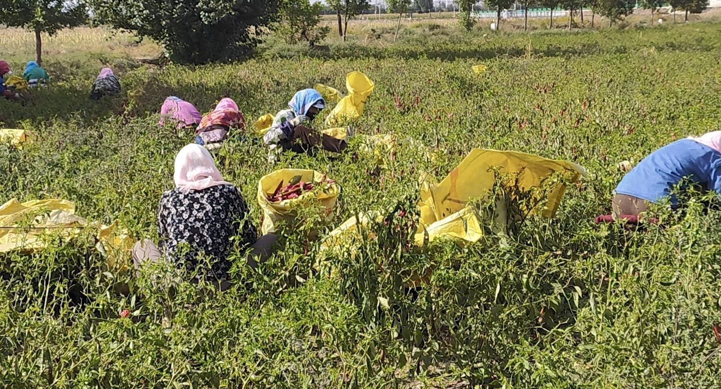 △网友　山谷　摄