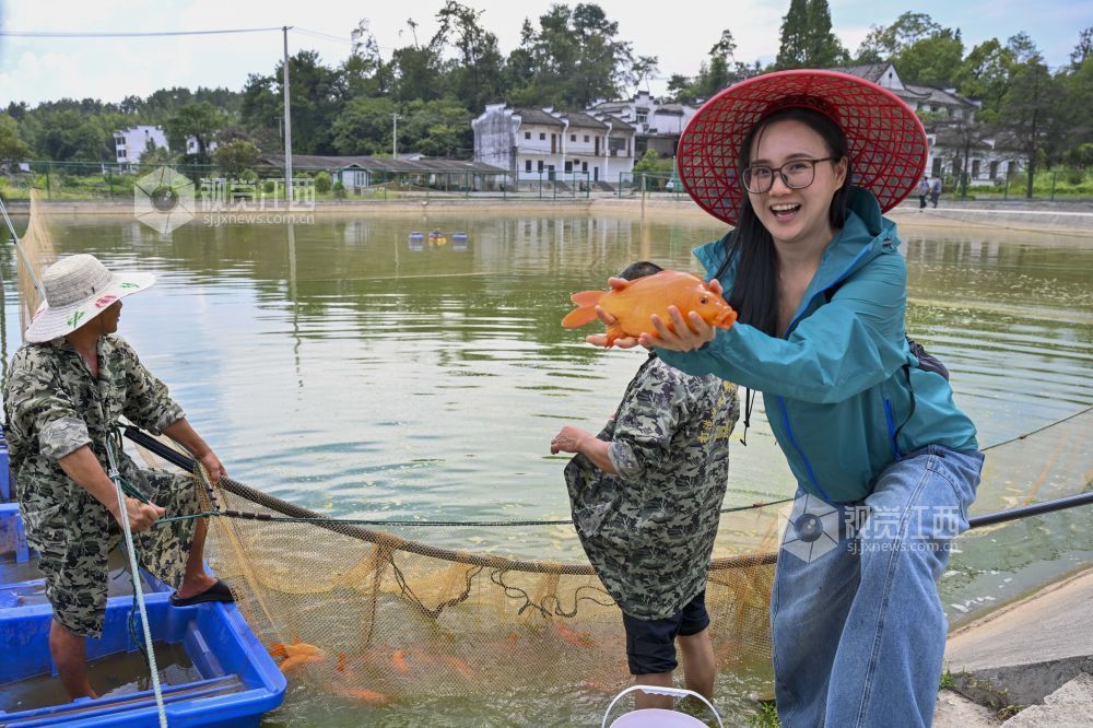 婺源：金秋鱼市旺 红鲤跃出致富路（图）