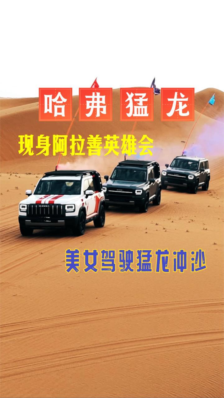 哈弗猛龙现身阿拉善英雄会，美女驾驶猛龙豁沙，表现不输硬派越野