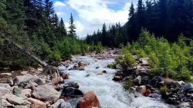 △祁连山国家级自然保护区(金昌段)山间溪流穿林而过、清澈见底