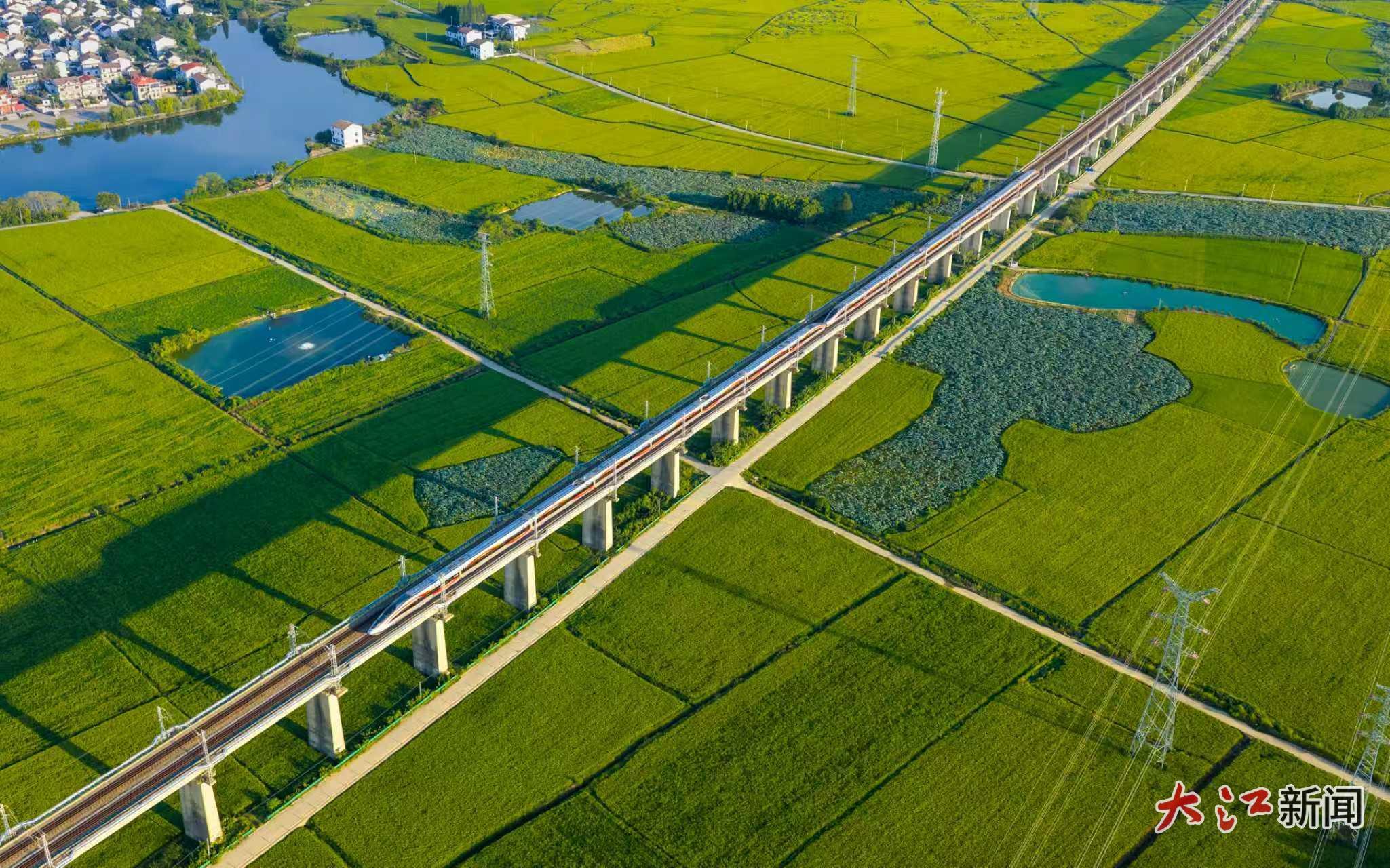 復興號動車組行駛在田野間（張萌飛 攝）