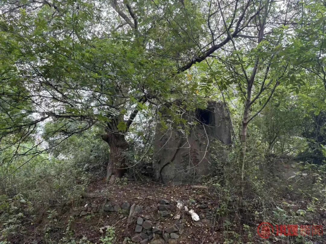 李红军调研历史文化资源挖掘利用情况