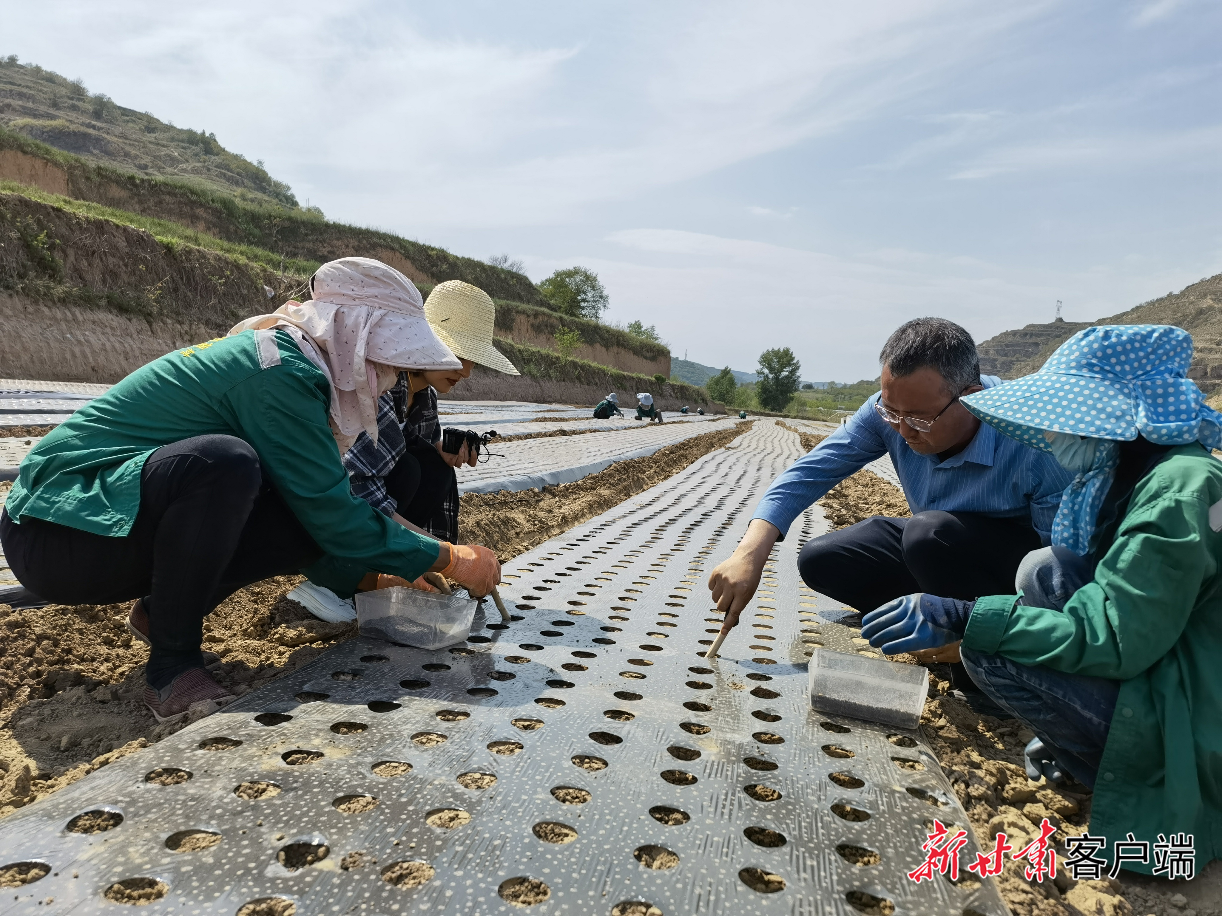 姚文智(右二)给农户传授中药材种植技术