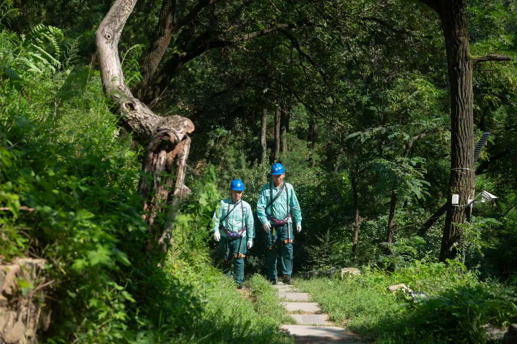 国网泰安供电公司工作人员对泰山景区线路进行巡检。新华社发
