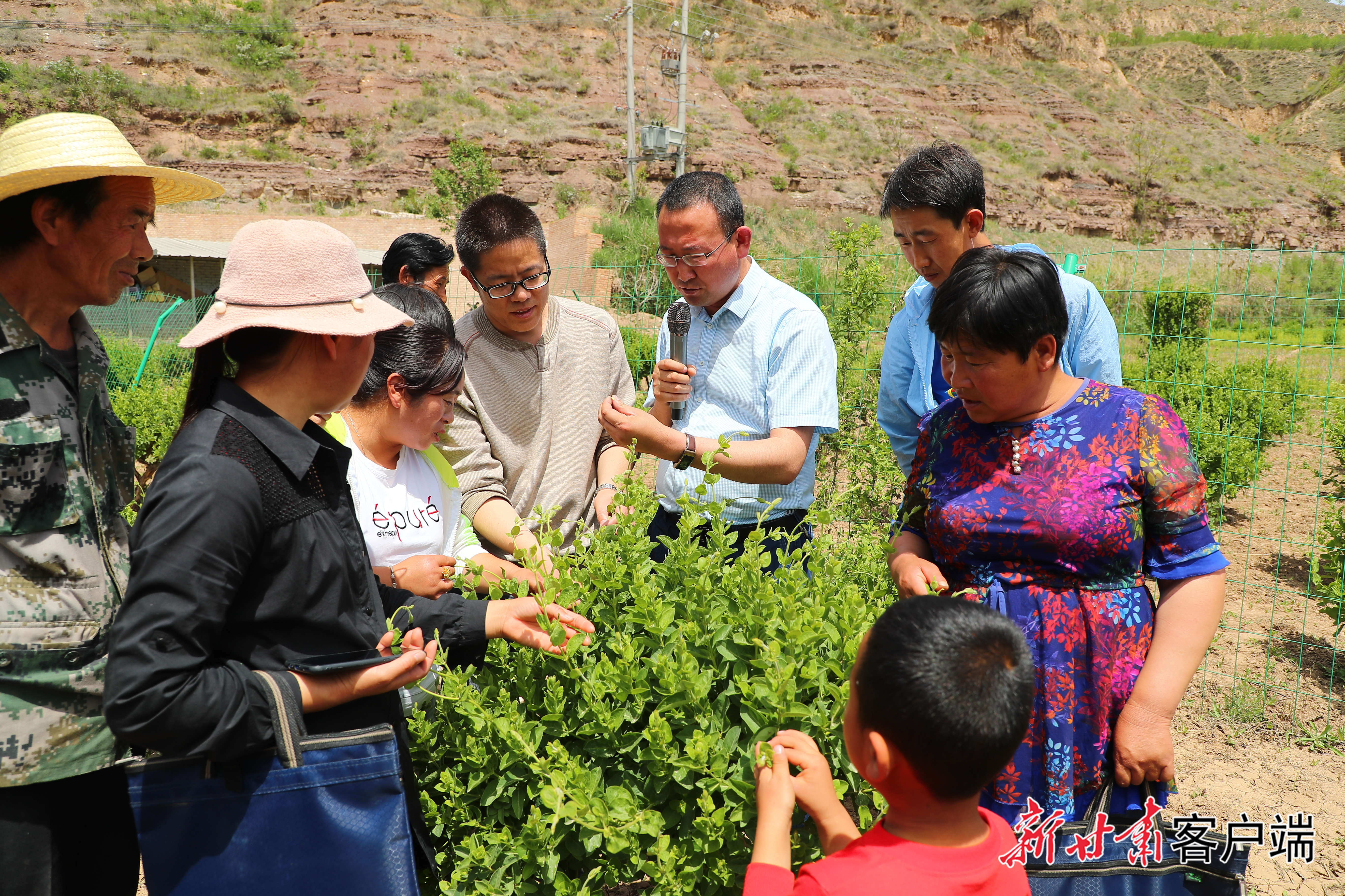 姚文智手执话筒给合作社会员讲授中药材知识