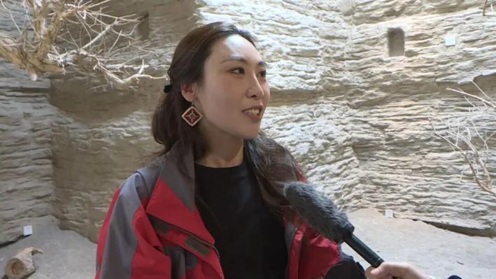 游客甘肃第一站首选博物馆：就想看看“显眼包”正脸