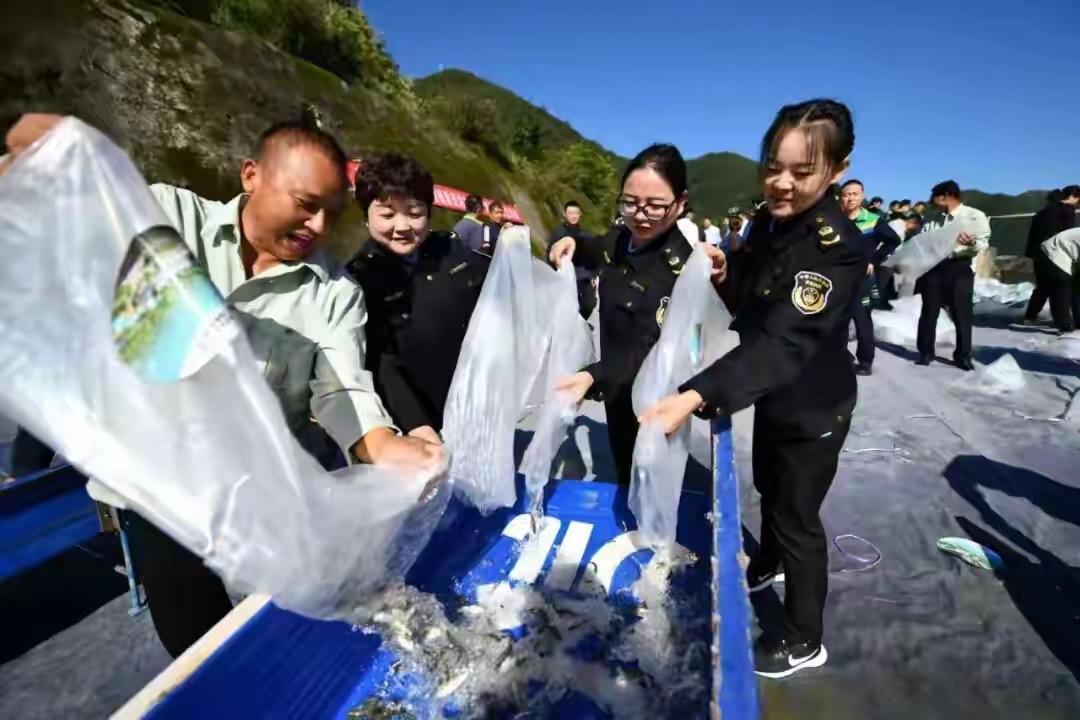 “引漢濟渭”沿線放流現場