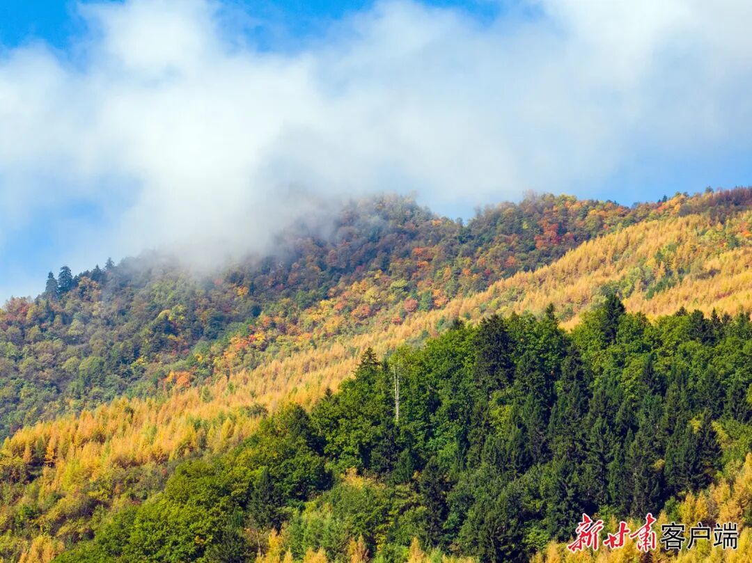 新甘肃&middot;甘肃日报通讯员　胡卫东