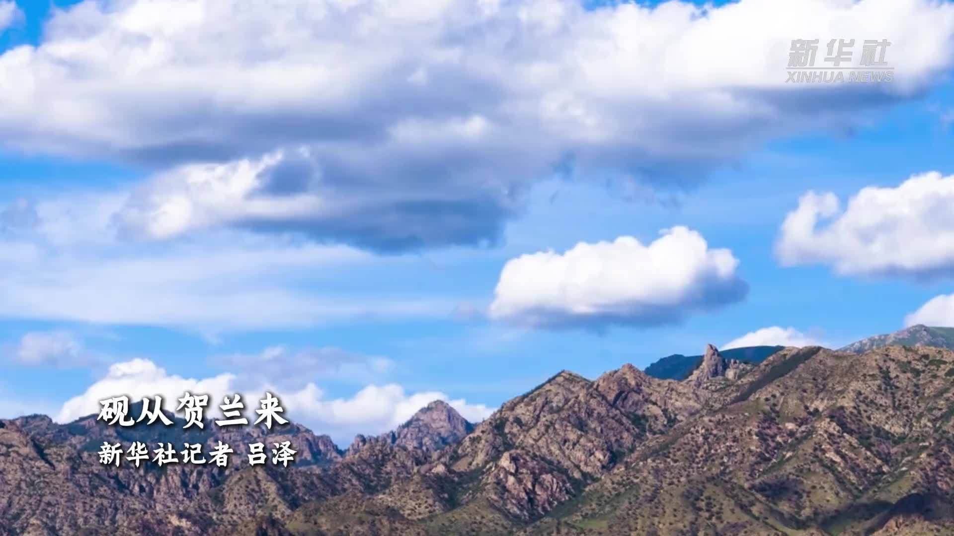 文化中国行｜砚从贺兰来