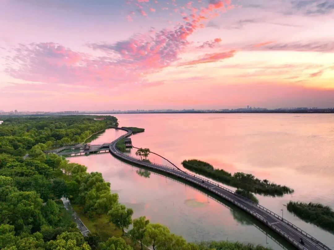 图片来源:苏州工业园区发布