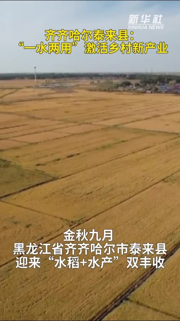 齐齐哈尔泰来县：“一水两用”激活乡村新产业