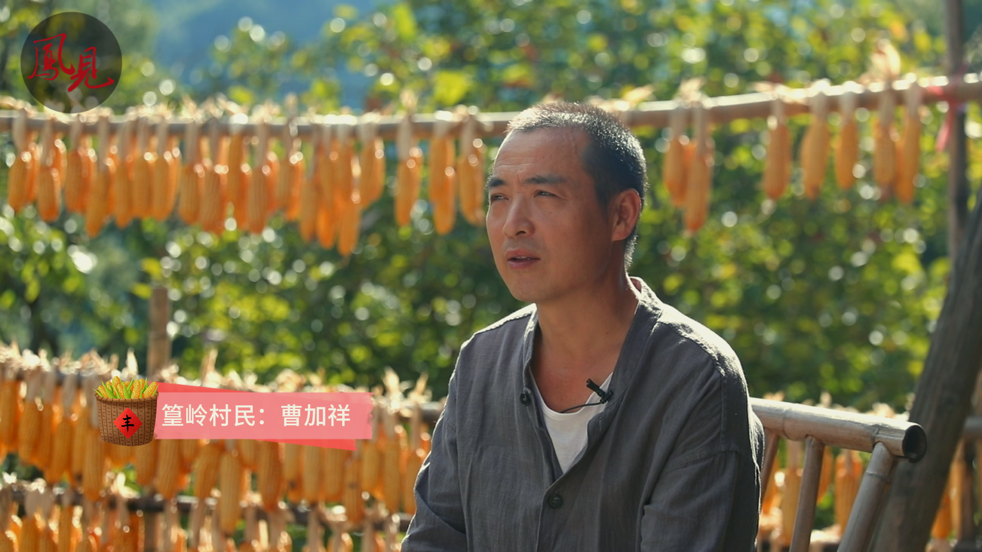 鳳見第204期：我在篁嶺當農(nóng)民