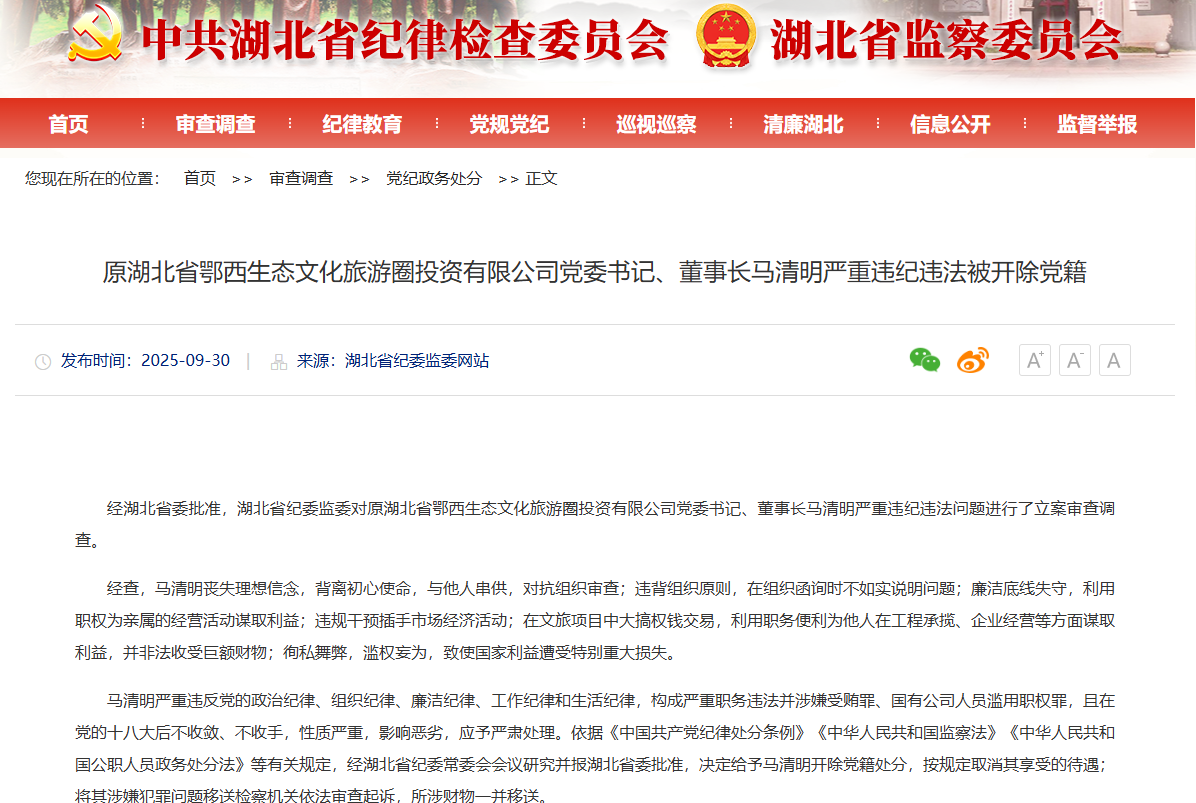 湖北省委批准 他被开除党籍