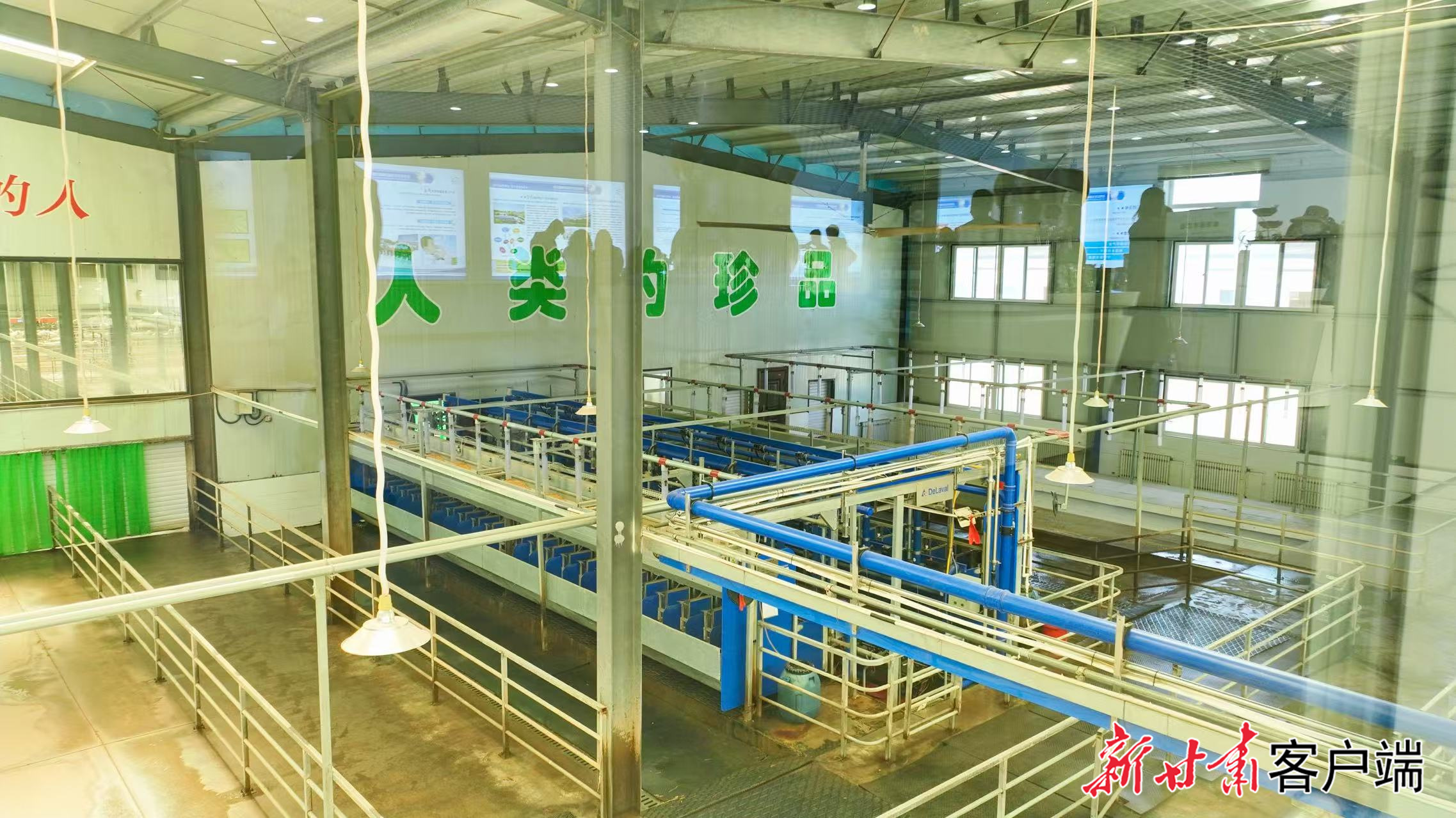 进口转盘式挤奶台
