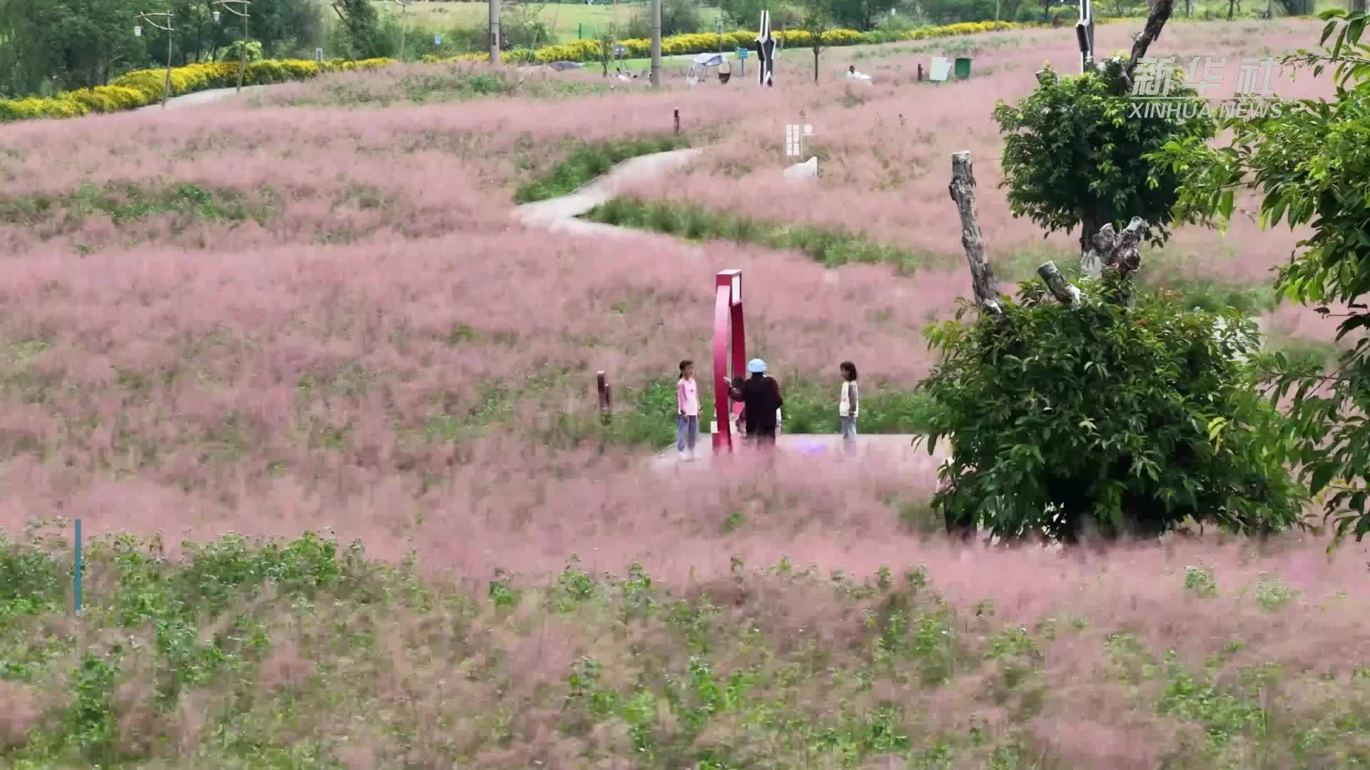 贵州长顺：长假赏花正当时