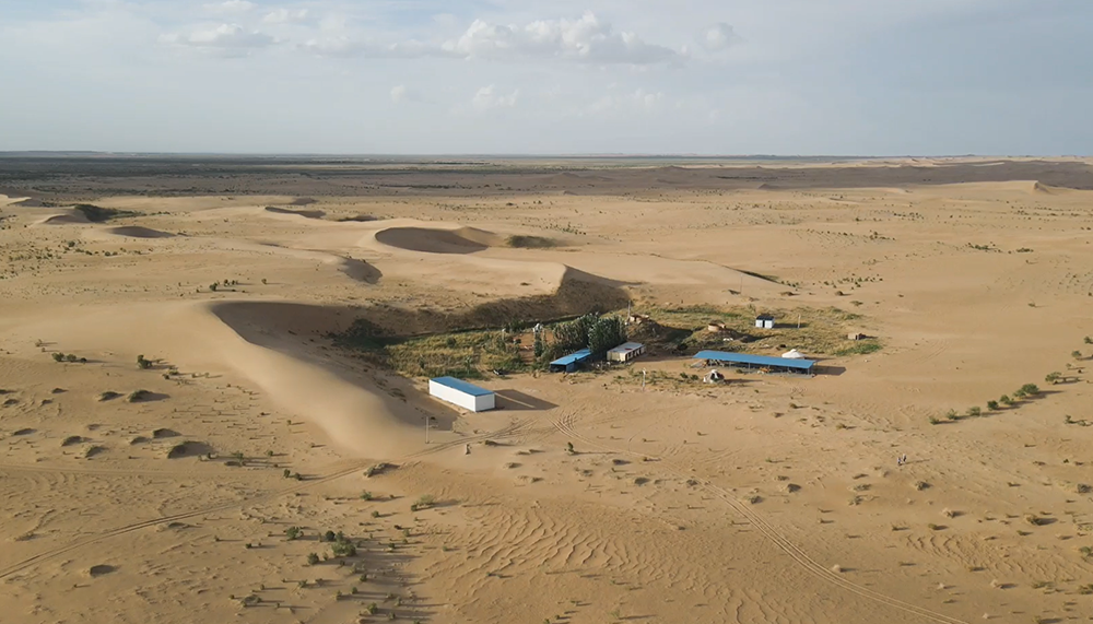 民勤县曾叔的种植基地