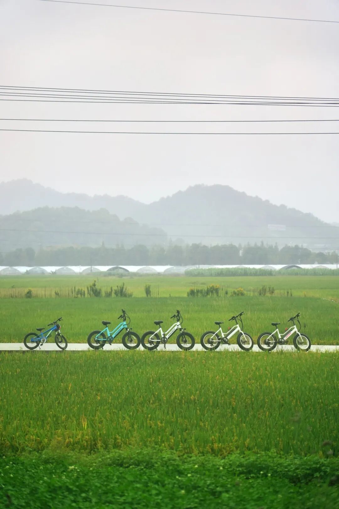 金轩 横溪江万下面那块田 24年10月 (1).jpg