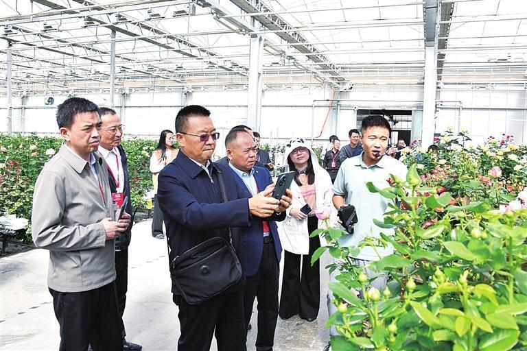 参观现代农业产业园