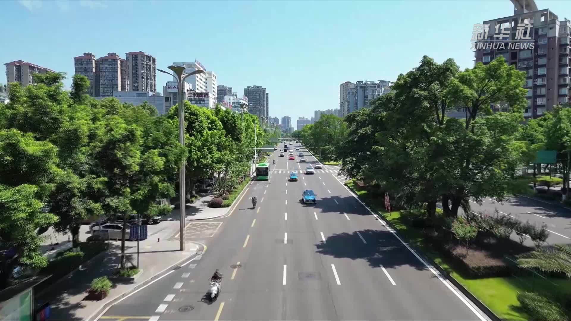 四川泸州：多措并举 打造公交绿色出行新风尚