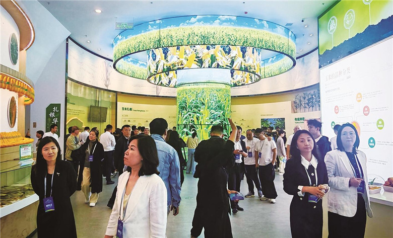 与会嘉宾参观四平梨树玉米文化展示中心。 高鸿 摄