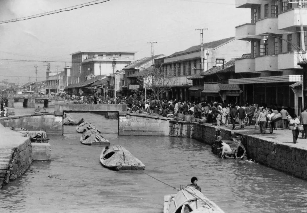 上世纪80年代的镇海骆驼 李浙东 摄