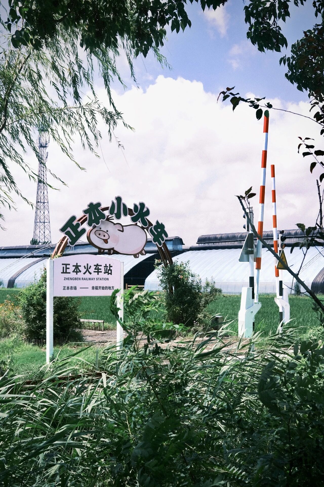 徐州经开区国庆假期推出多主题深度游