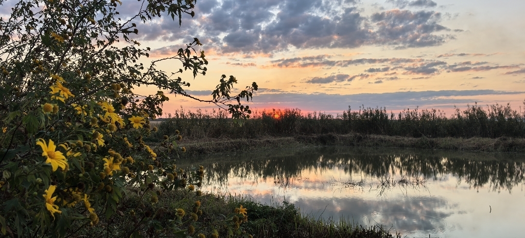 △网友　P.211　摄