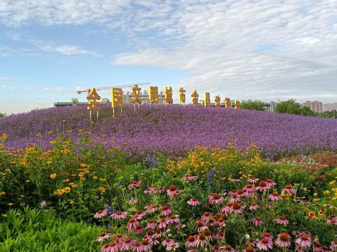 △生态红利让金昌工业城市焕发出宜居宜业新活力