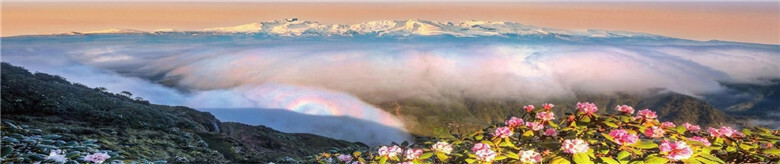 “仙境”。张延春 摄