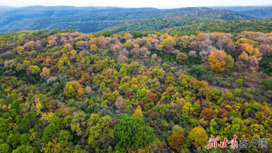 新甘肃&middot;甘肃日报通讯员　田伟　王波波
