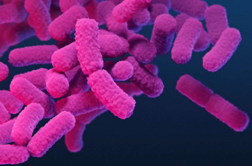 美国疾控中心警告：“噩梦细菌”感染病例正在悄然飙升