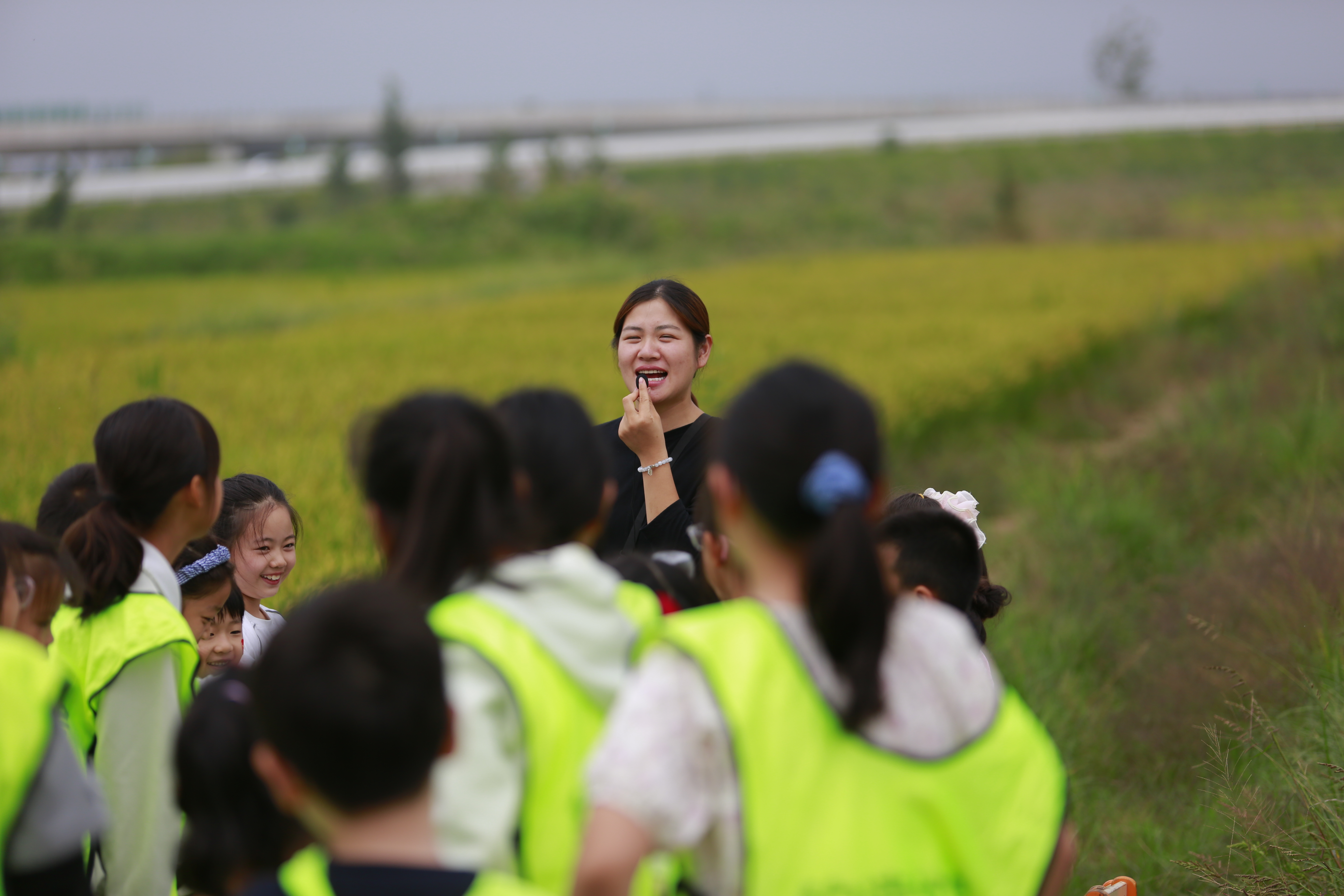 丰县顺河镇:稻“趣”齐庙 “薯”光无限