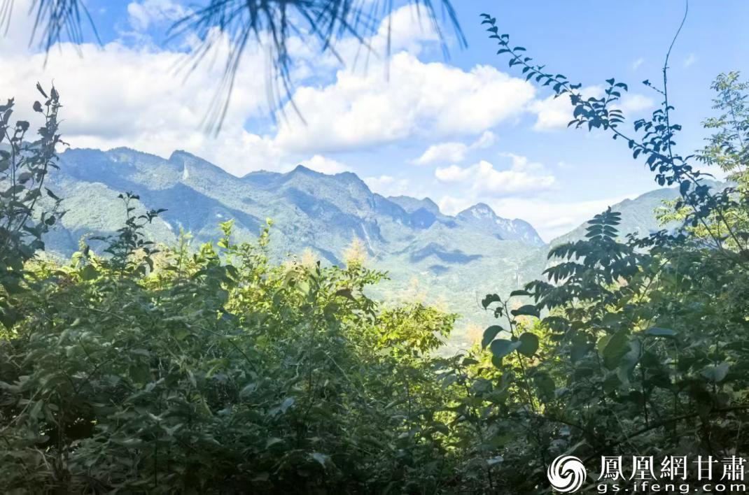 陇南山地是中国重要的生态保护区